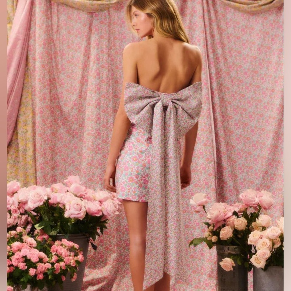 SOLD POSH SHOW Floral Mini Dress with Big Bow Detail Train